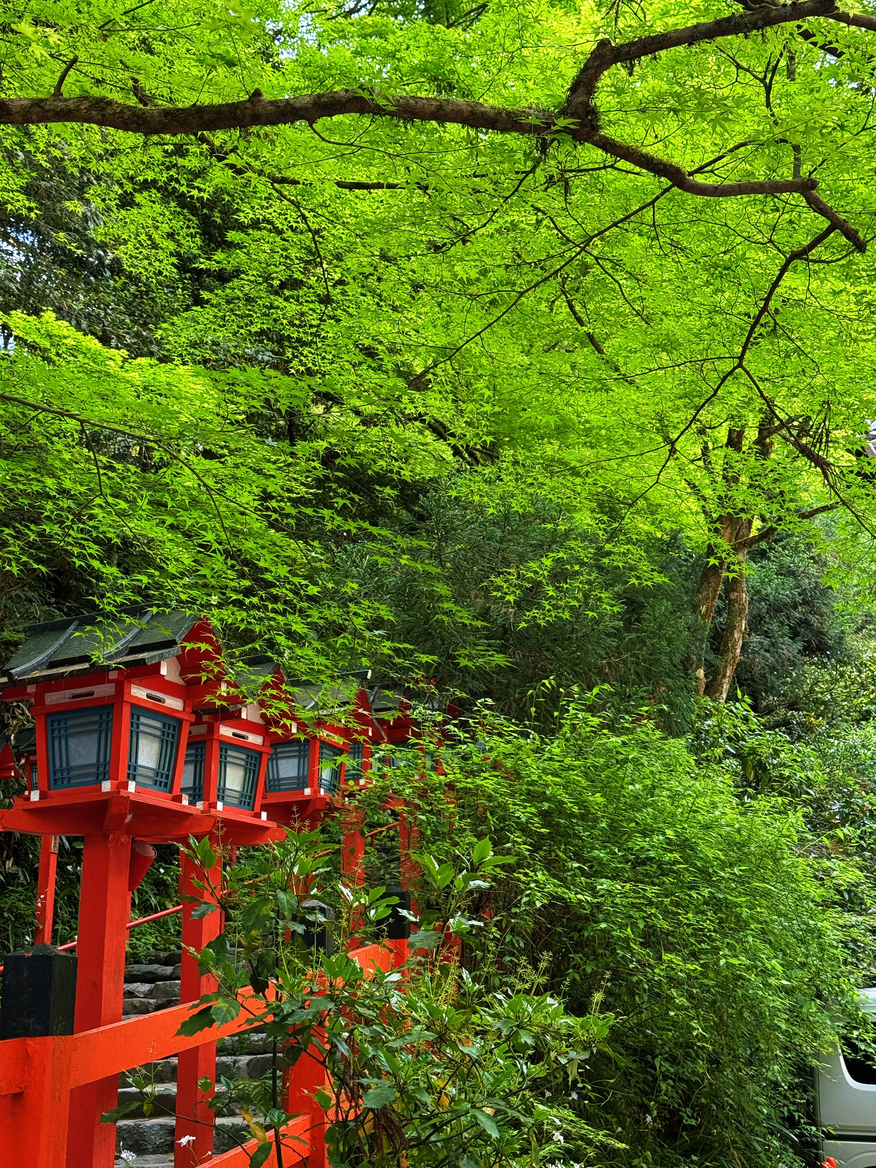 京都