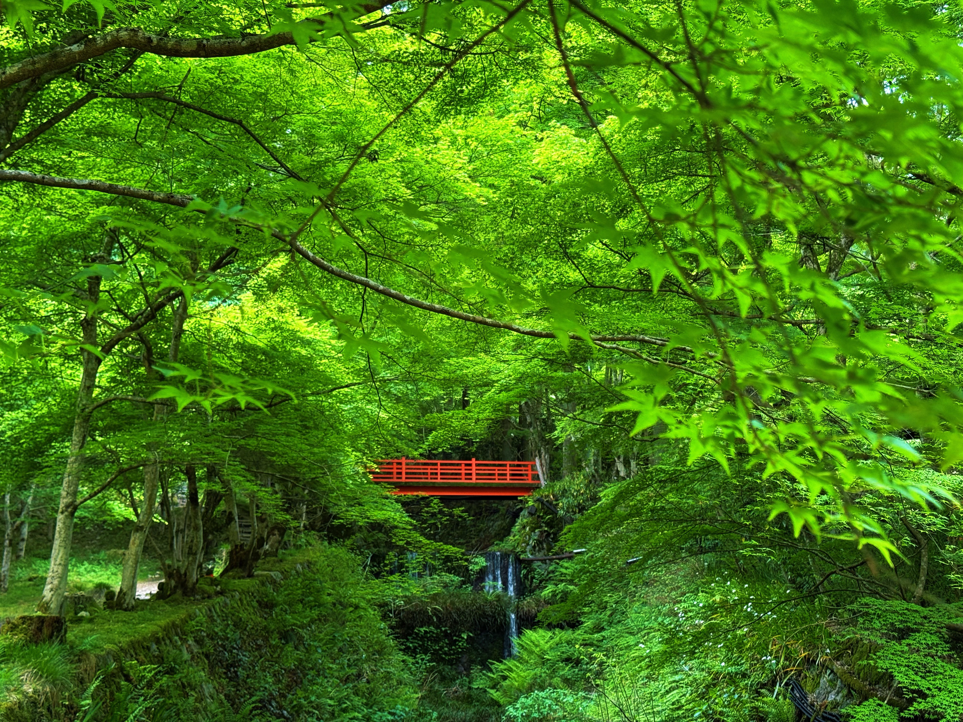京都