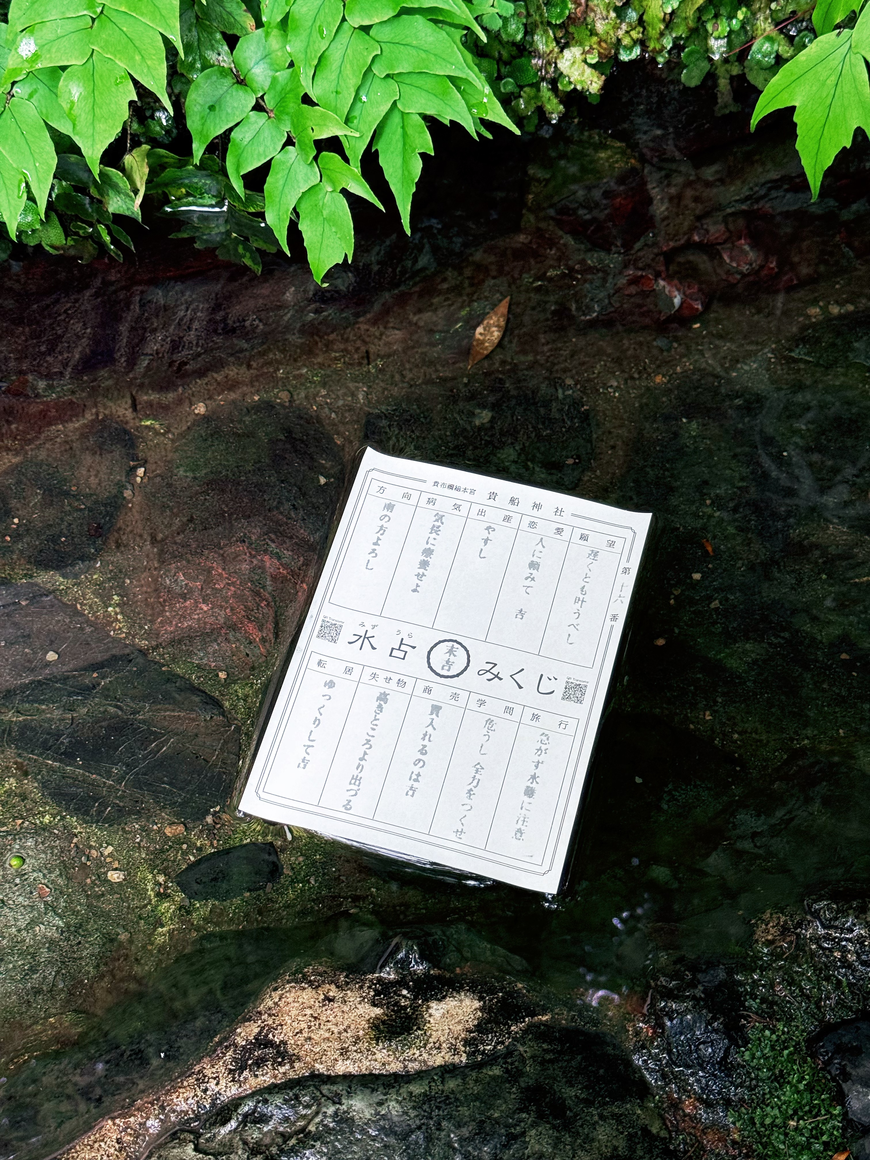 京都