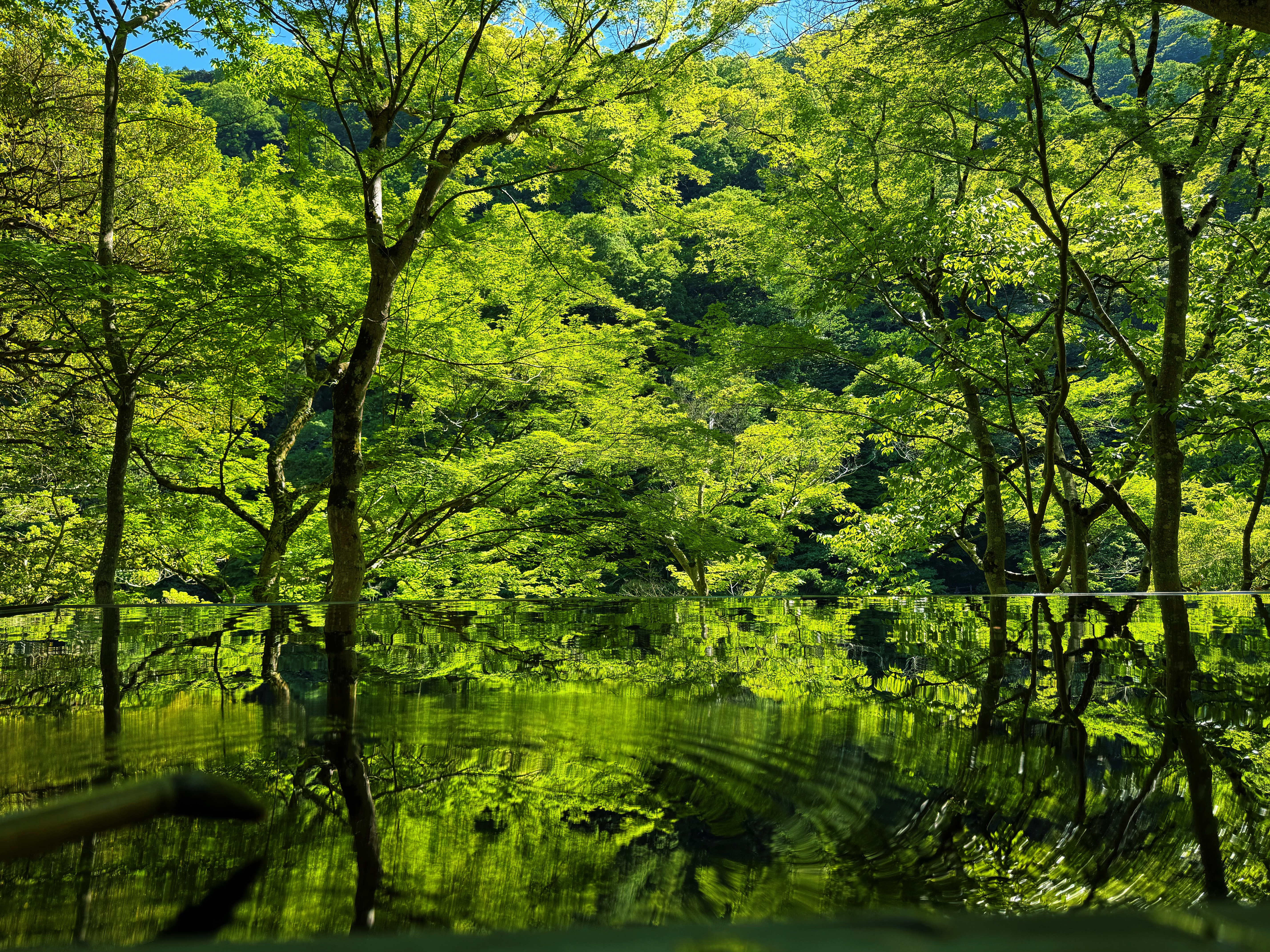 京都