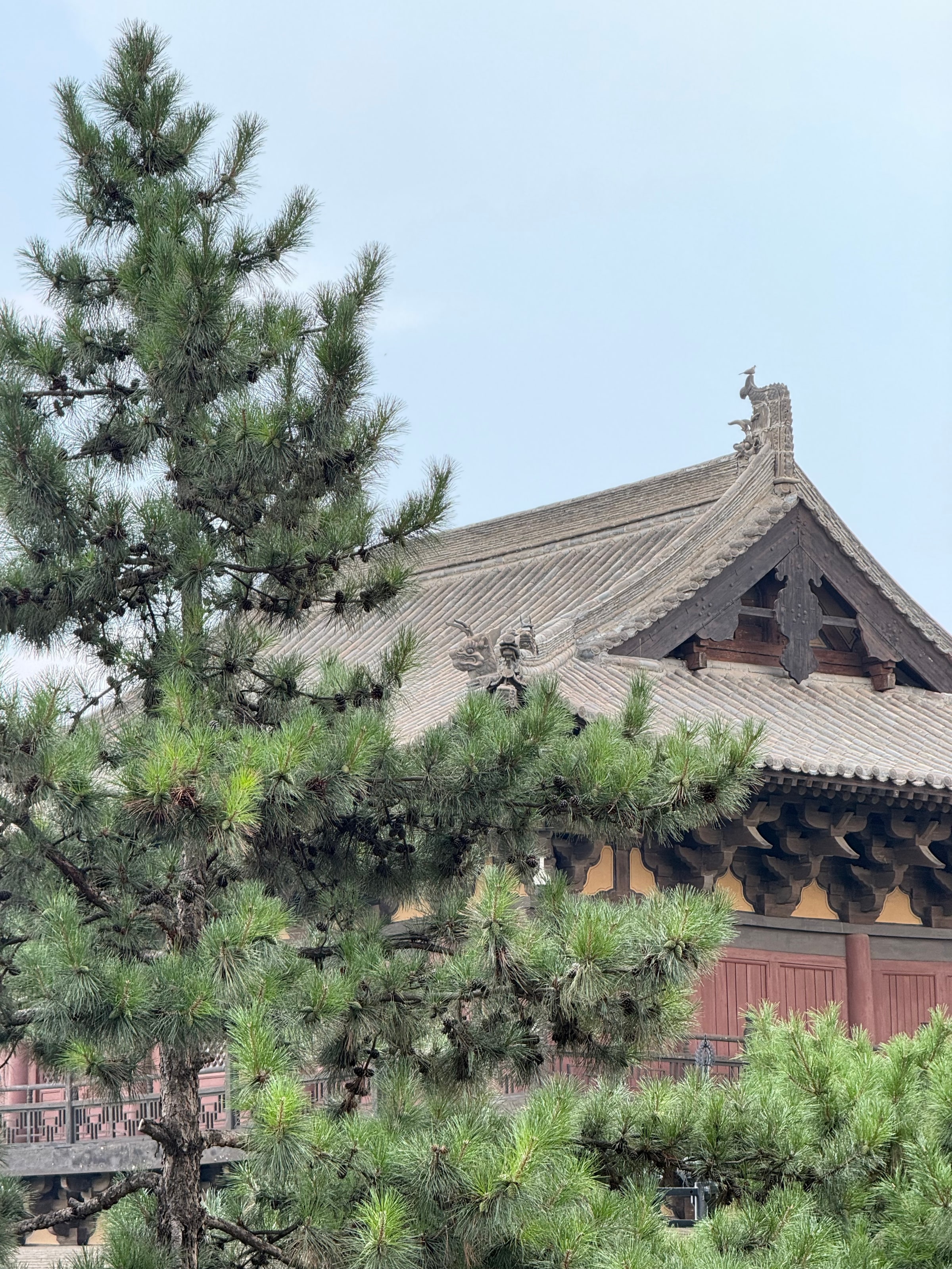 古寺的屋檐从松枝后探出来，脊上的鸱吻还在原位，守着这片院子。
