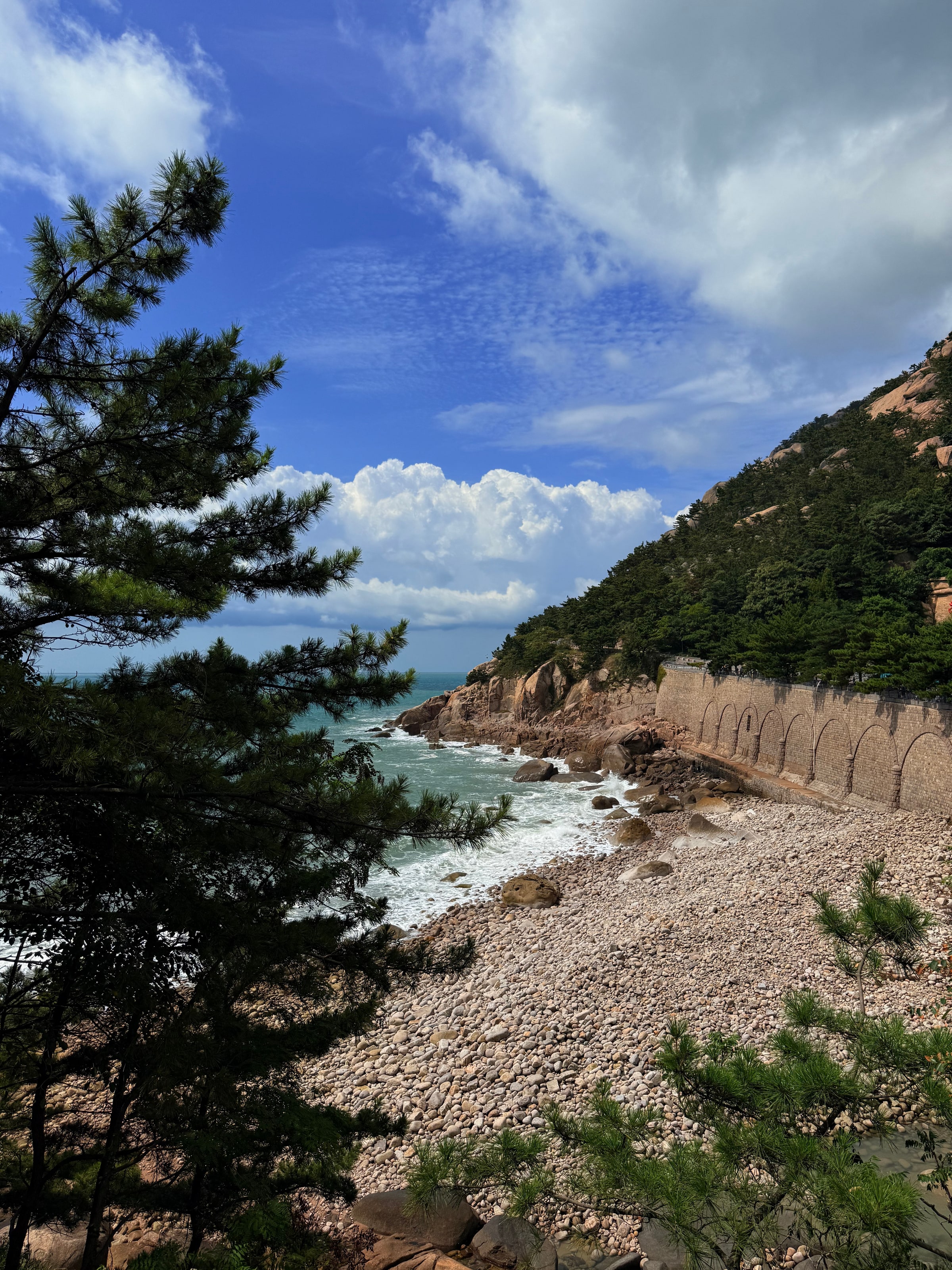 崂山脚下的花岗岩海岸，松树把枝干探到浪上面，风一吹全是咸味。