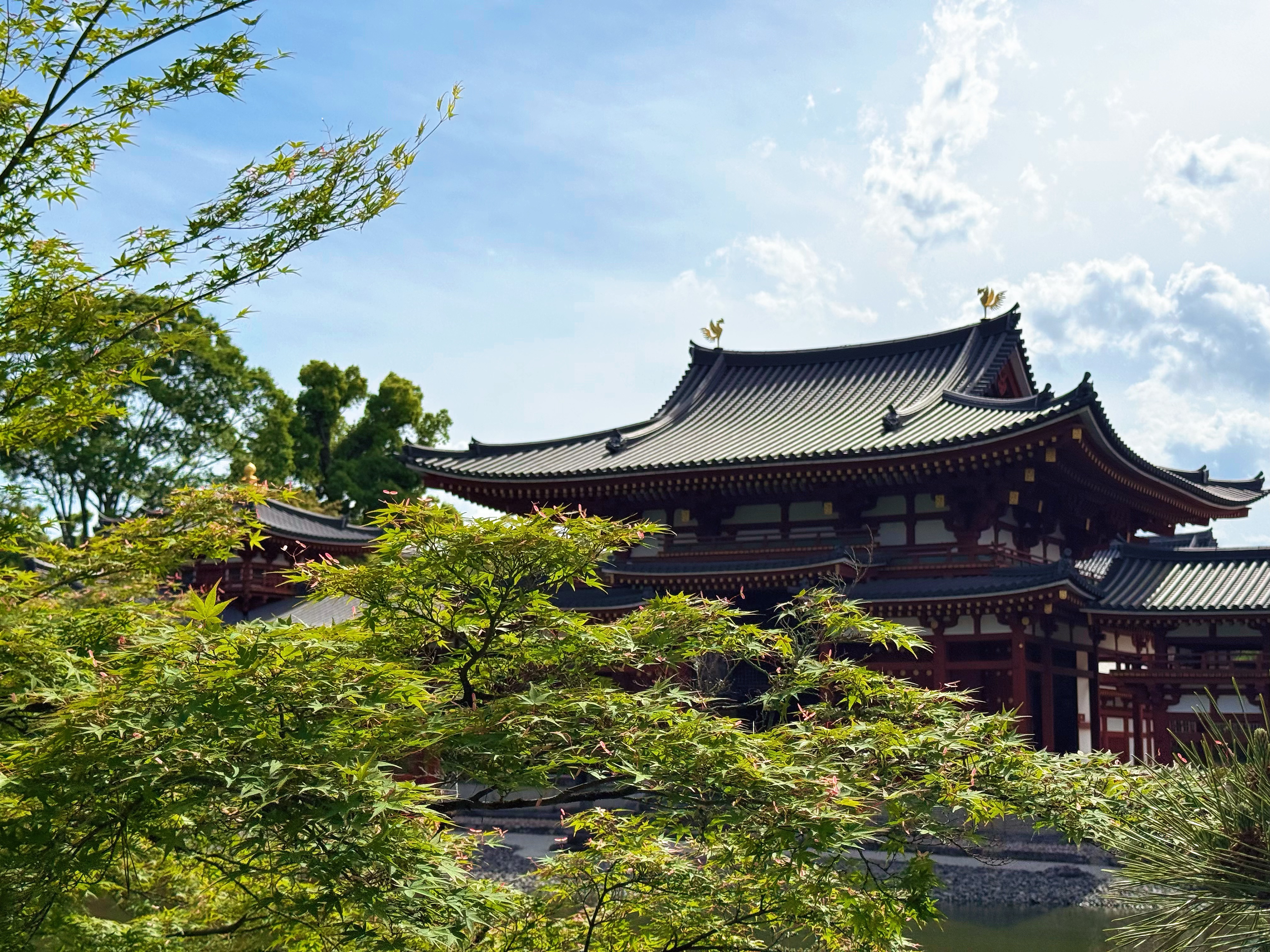 宇治